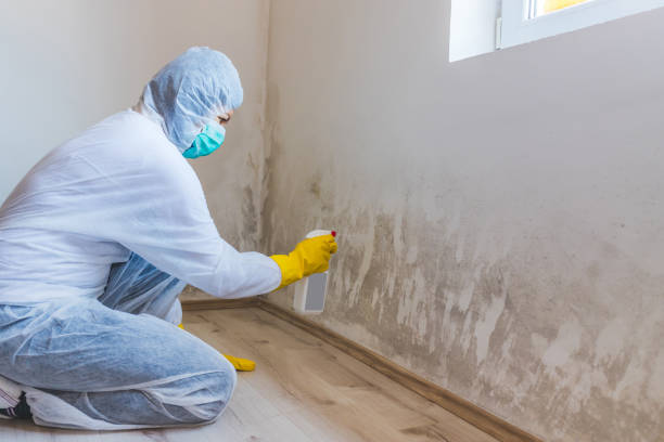 Hvac And Air Duct Mold Remediation inspection of HVAC system in Hempstead